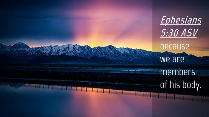 Picture 04 - Ephesians 5:30 ASV Desktop Wallpaper - because we are members of his - Desktop Bible Verse Wallpaper