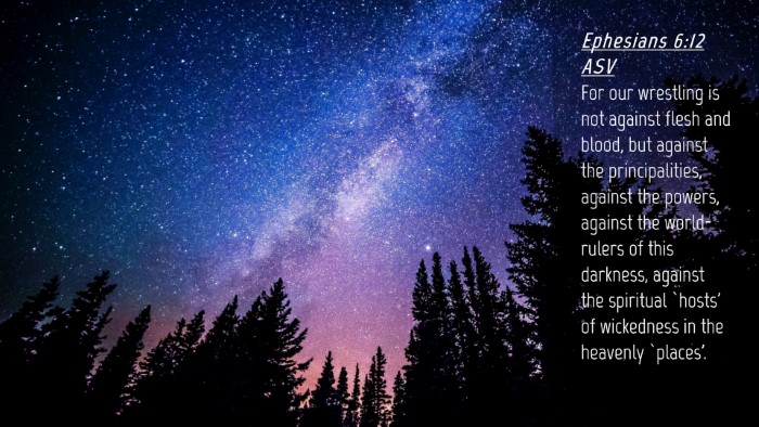 Picture 04 - Ephesians 6:12 ASV Desktop Wallpaper - For our wrestling is not against flesh and blood, - Desktop Bible Verse Wallpaper