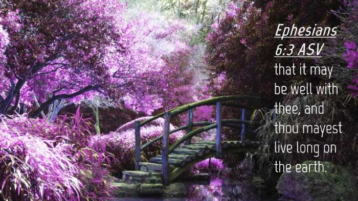 Picture 04 - Ephesians 6:3 ASV Desktop Wallpaper - that it may be well with thee, and thou mayest - Desktop Bible Verse Wallpaper