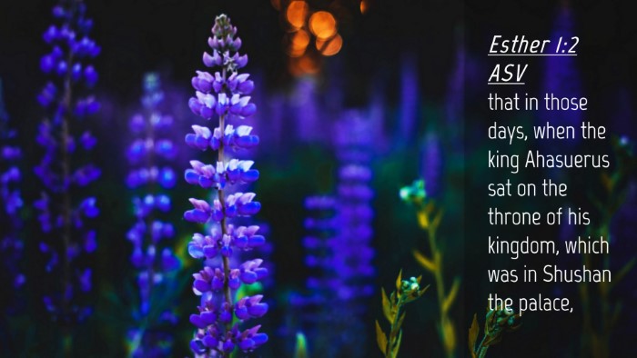 Picture 04 - Esther 1:2 ASV Desktop Wallpaper - that in those days, when the king Ahasuerus sat - Desktop Bible Verse Wallpaper