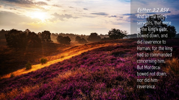 Picture 04 - Esther 3:2 ASV Desktop Wallpaper - And all the king's servants, that were in the - Desktop Bible Verse Wallpaper