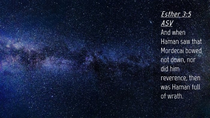 Picture 04 - Esther 3:5 ASV Desktop Wallpaper - And when Haman saw that Mordecai bowed not down, - Desktop Bible Verse Wallpaper