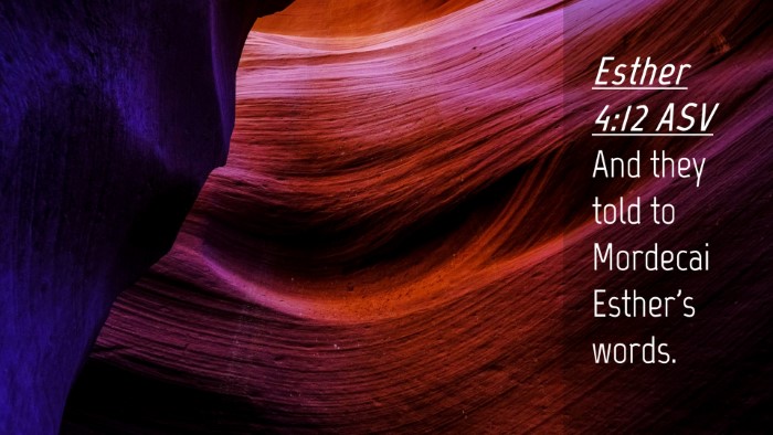 Picture 04 - Esther 4:12 ASV Desktop Wallpaper - And they told to Mordecai Esther's - Desktop Bible Verse Wallpaper