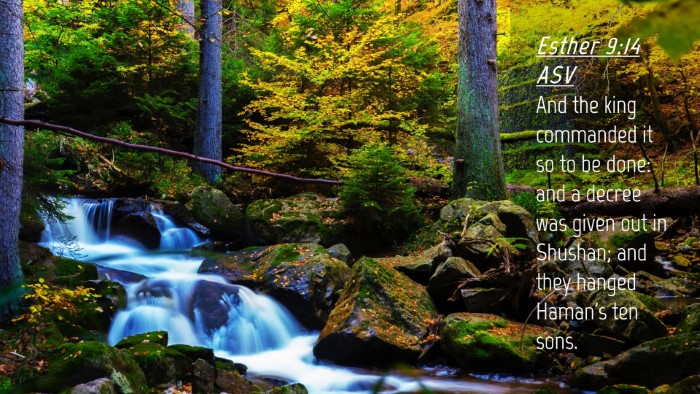Picture 04 - Esther 9:14 ASV Desktop Wallpaper - And the king commanded it so to be done: and a - Desktop Bible Verse Wallpaper