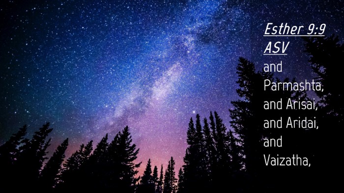 Picture 04 - Esther 9:9 ASV Desktop Wallpaper - and Parmashta, and Arisai, and Aridai, and - Desktop Bible Verse Wallpaper