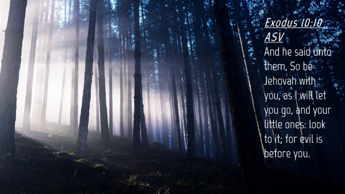 Picture 04 - Exodus 10:10 ASV Desktop Wallpaper - And he said unto them, So be Jehovah with you, as - Desktop Bible Verse Wallpaper