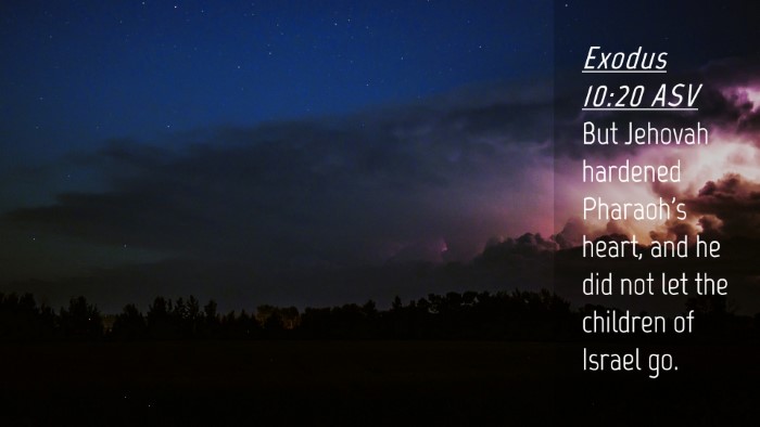 Picture 04 - Exodus 10:20 ASV Desktop Wallpaper - But Jehovah hardened Pharaoh's heart, and he did - Desktop Bible Verse Wallpaper