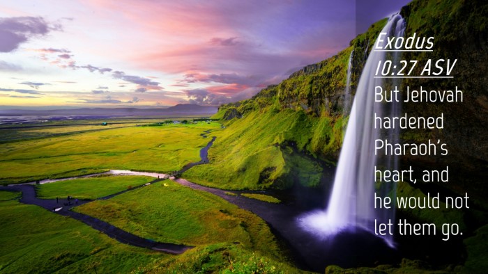 Picture 04 - Exodus 10:27 ASV Desktop Wallpaper - But Jehovah hardened Pharaoh's heart, and he - Desktop Bible Verse Wallpaper