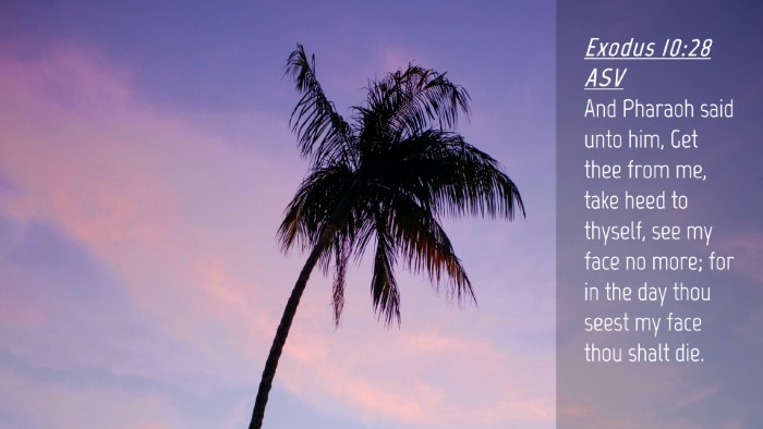 Picture 04 - Exodus 10:28 ASV Desktop Wallpaper - And Pharaoh said unto him, Get thee from me, take - Desktop Bible Verse Wallpaper