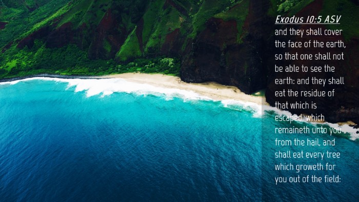 Picture 04 - Exodus 10:5 ASV Desktop Wallpaper - and they shall cover the face of the earth, so - Desktop Bible Verse Wallpaper