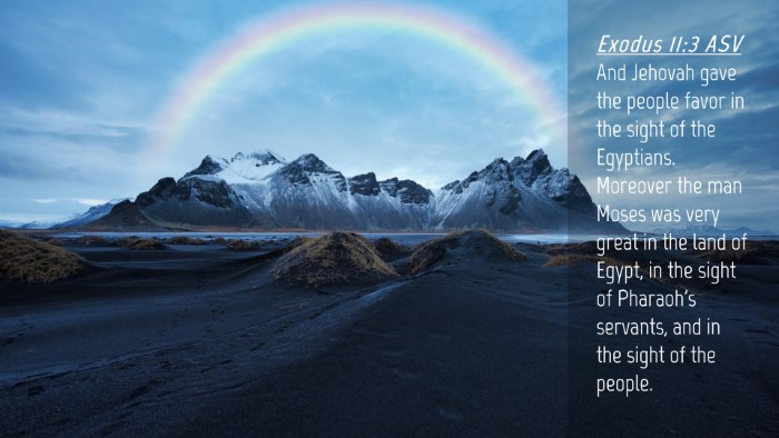 Picture 04 - Exodus 11:3 ASV Desktop Wallpaper - And Jehovah gave the people favor in the sight of - Desktop Bible Verse Wallpaper