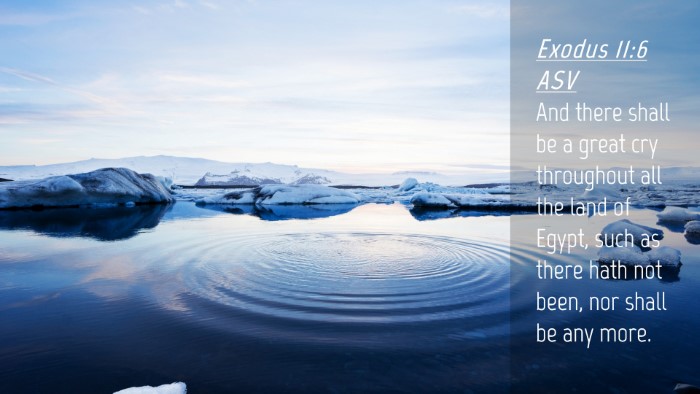 Picture 04 - Exodus 11:6 ASV Desktop Wallpaper - And there shall be a great cry throughout all the - Desktop Bible Verse Wallpaper