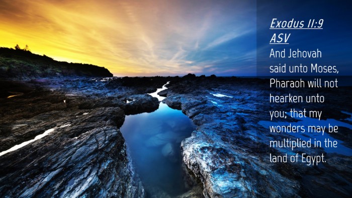 Picture 04 - Exodus 11:9 ASV Desktop Wallpaper - And Jehovah said unto Moses, Pharaoh will not - Desktop Bible Verse Wallpaper