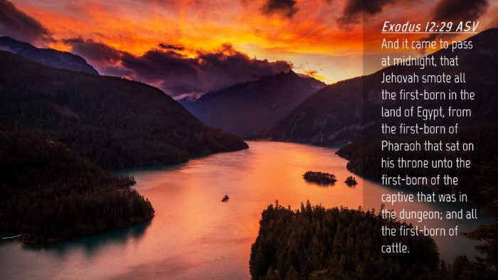 Picture 04 - Exodus 12:29 ASV Desktop Wallpaper - And it came to pass at midnight, that Jehovah - Desktop Bible Verse Wallpaper