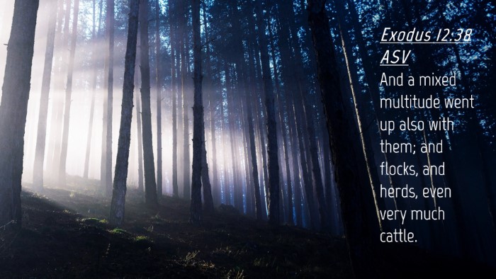 Picture 04 - Exodus 12:38 ASV Desktop Wallpaper - And a mixed multitude went up also with them; and - Desktop Bible Verse Wallpaper