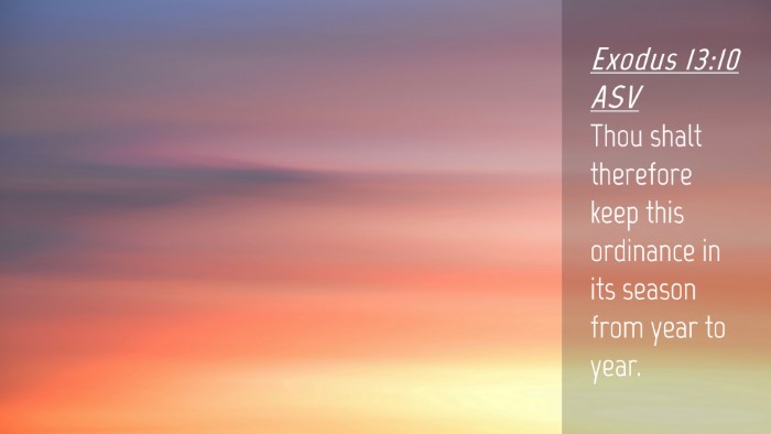 Picture 04 - Exodus 13:10 ASV Desktop Wallpaper - Thou shalt therefore keep this ordinance in its - Desktop Bible Verse Wallpaper