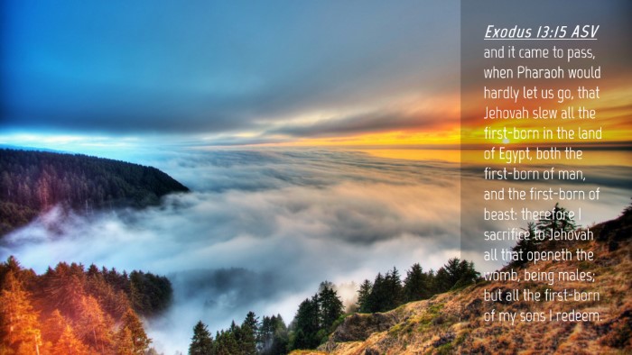 Picture 04 - Exodus 13:15 ASV Desktop Wallpaper - and it came to pass, when Pharaoh would hardly - Desktop Bible Verse Wallpaper