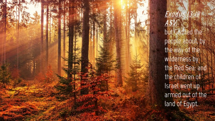 Picture 04 - Exodus 13:18 ASV Desktop Wallpaper - but God led the people about, by the way of the - Desktop Bible Verse Wallpaper