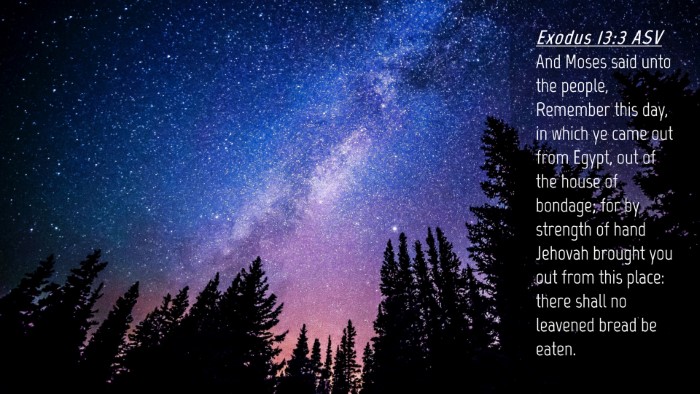 Picture 04 - Exodus 13:3 ASV Desktop Wallpaper - And Moses said unto the people, Remember this - Desktop Bible Verse Wallpaper