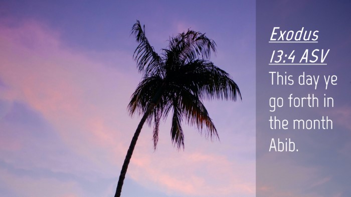 Picture 04 - Exodus 13:4 ASV Desktop Wallpaper - This day ye go forth in the month - Desktop Bible Verse Wallpaper