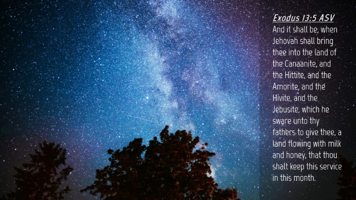 Picture 04 - Exodus 13:5 ASV Desktop Wallpaper - And it shall be, when Jehovah shall bring thee - Desktop Bible Verse Wallpaper