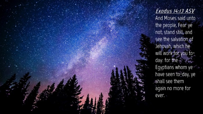 Picture 04 - Exodus 14:13 ASV Desktop Wallpaper - And Moses said unto the people, Fear ye not, - Desktop Bible Verse Wallpaper