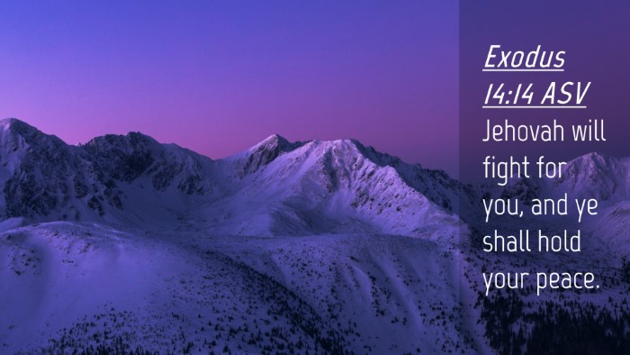 Picture 04 - Exodus 14:14 ASV Desktop Wallpaper - Jehovah will fight for you, and ye shall hold - Desktop Bible Verse Wallpaper
