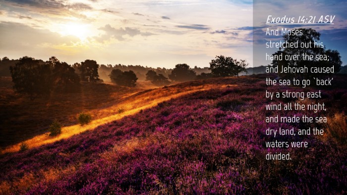Picture 04 - Exodus 14:21 ASV Desktop Wallpaper - And Moses stretched out his hand over the sea; - Desktop Bible Verse Wallpaper