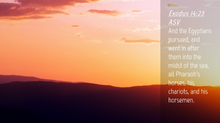 Picture 04 - Exodus 14:23 ASV Desktop Wallpaper - And the Egyptians pursued, and went in after them - Desktop Bible Verse Wallpaper