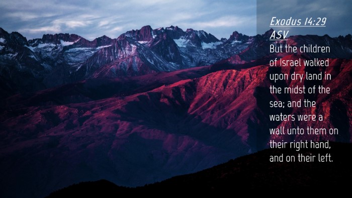Picture 04 - Exodus 14:29 ASV Desktop Wallpaper - But the children of Israel walked upon dry land - Desktop Bible Verse Wallpaper