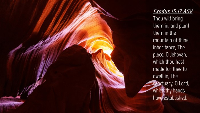 Picture 04 - Exodus 15:17 ASV Desktop Wallpaper - Thou wilt bring them in, and plant them in the - Desktop Bible Verse Wallpaper