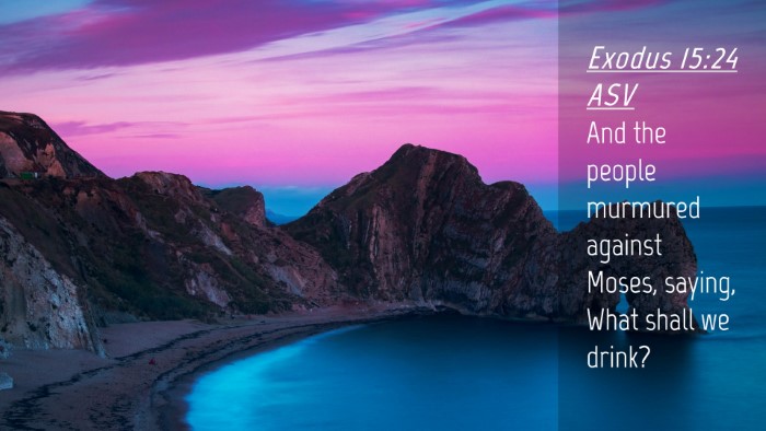 Picture 04 - Exodus 15:24 ASV Desktop Wallpaper - And the people murmured against Moses, saying, - Desktop Bible Verse Wallpaper