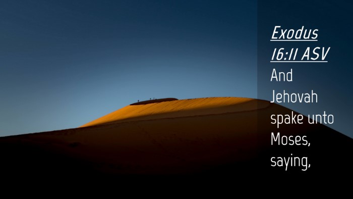 Picture 04 - Exodus 16:11 ASV Desktop Wallpaper - And Jehovah spake unto Moses, - Desktop Bible Verse Wallpaper