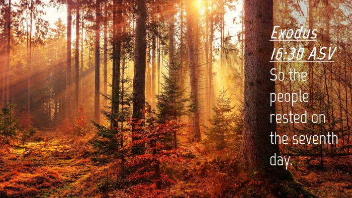 Picture 04 - Exodus 16:30 ASV Desktop Wallpaper - So the people rested on the seventh - Desktop Bible Verse Wallpaper