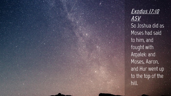 Picture 04 - Exodus 17:10 ASV Desktop Wallpaper - So Joshua did as Moses had said to him, and - Desktop Bible Verse Wallpaper