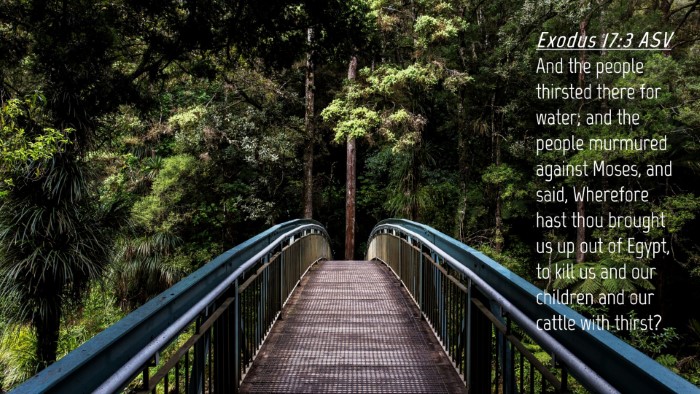 Picture 04 - Exodus 17:3 ASV Desktop Wallpaper - And the people thirsted there for water; and the - Desktop Bible Verse Wallpaper