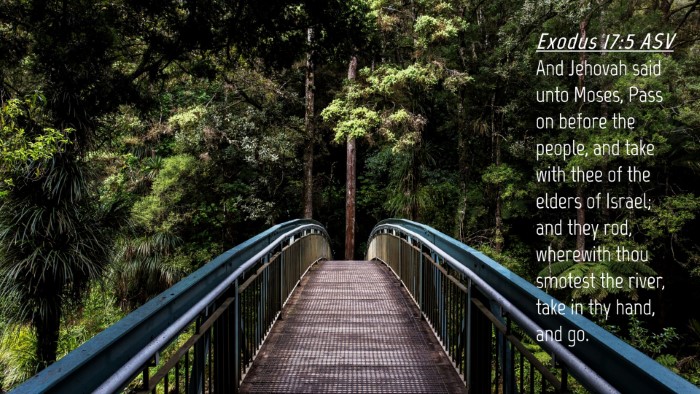 Picture 04 - Exodus 17:5 ASV Desktop Wallpaper - And Jehovah said unto Moses, Pass on before the - Desktop Bible Verse Wallpaper