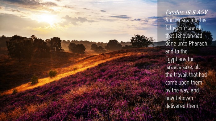 Picture 04 - Exodus 18:8 ASV Desktop Wallpaper - And Moses told his father-in-law all that Jehovah - Desktop Bible Verse Wallpaper