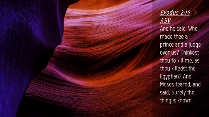 Picture 04 - Exodus 2:14 ASV Desktop Wallpaper - And he said, Who made thee a prince and a judge - Desktop Bible Verse Wallpaper