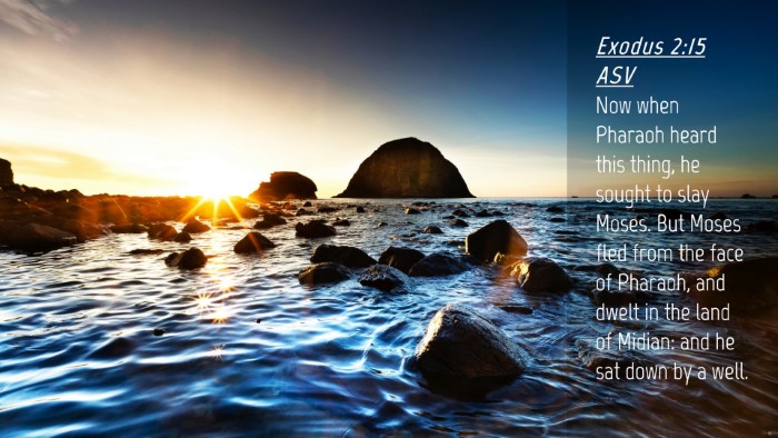 Picture 04 - Exodus 2:15 ASV Desktop Wallpaper - Now when Pharaoh heard this thing, he sought to - Desktop Bible Verse Wallpaper