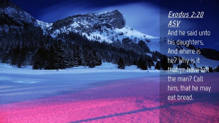 Picture 04 - Exodus 2:20 ASV Desktop Wallpaper - And he said unto his daughters, And where is he? - Desktop Bible Verse Wallpaper