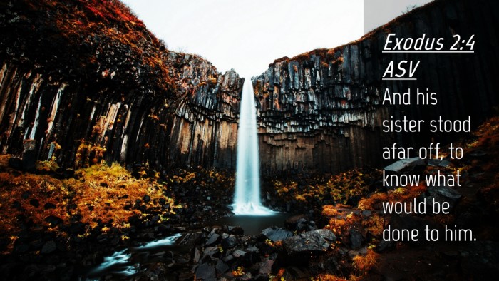 Picture 04 - Exodus 2:4 ASV Desktop Wallpaper - And his sister stood afar off, to know what would - Desktop Bible Verse Wallpaper