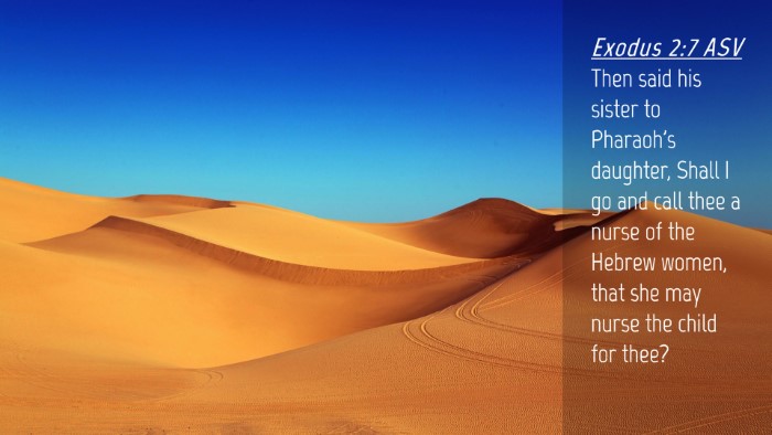 Picture 04 - Exodus 2:7 ASV Desktop Wallpaper - Then said his sister to Pharaoh's daughter, Shall - Desktop Bible Verse Wallpaper