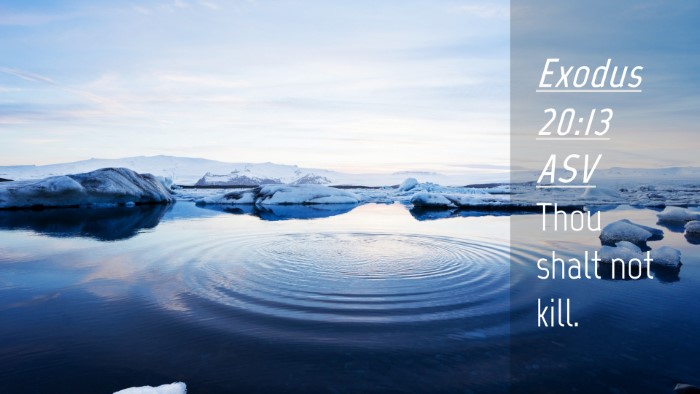 Picture 04 - Exodus 20:13 ASV Desktop Wallpaper - Thou shalt not - Desktop Bible Verse Wallpaper