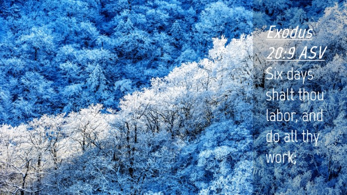 Picture 04 - Exodus 20:9 ASV Desktop Wallpaper - Six days shalt thou labor, and do all thy - Desktop Bible Verse Wallpaper