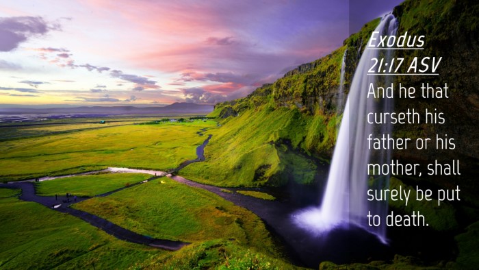 Picture 04 - Exodus 21:17 ASV Desktop Wallpaper - And he that curseth his father or his mother, - Desktop Bible Verse Wallpaper
