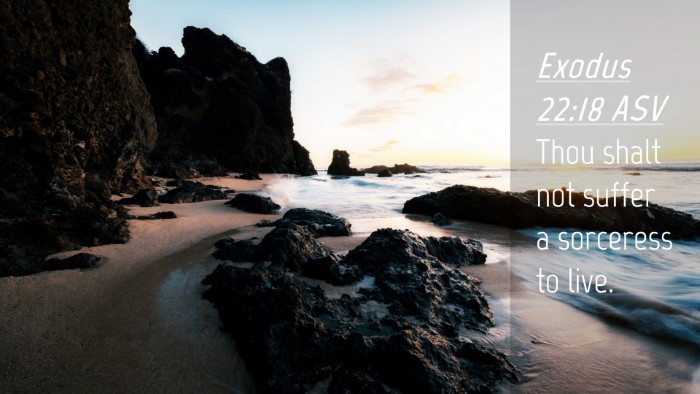 Picture 04 - Exodus 22:18 ASV Desktop Wallpaper - Thou shalt not suffer a sorceress to - Desktop Bible Verse Wallpaper