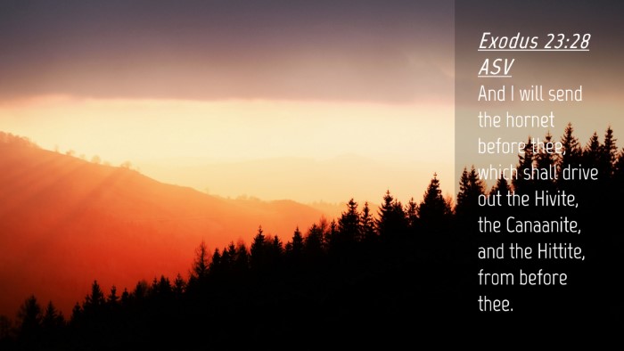 Picture 04 - Exodus 23:28 ASV Desktop Wallpaper - And I will send the hornet before thee, which - Desktop Bible Verse Wallpaper