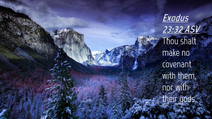 Picture 04 - Exodus 23:32 ASV Desktop Wallpaper - Thou shalt make no covenant with them, nor with - Desktop Bible Verse Wallpaper