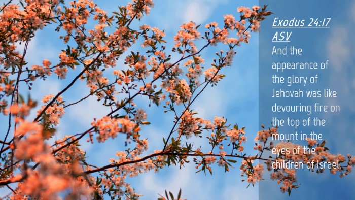 Picture 04 - Exodus 24:17 ASV Desktop Wallpaper - And the appearance of the glory of Jehovah was - Desktop Bible Verse Wallpaper